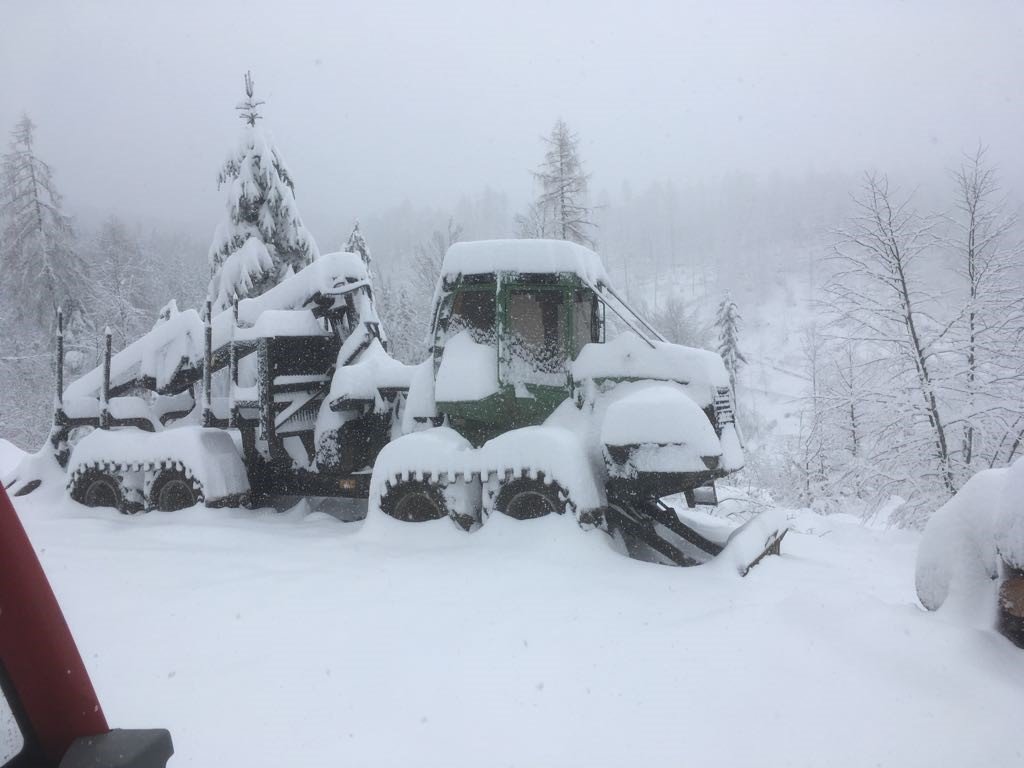 Forwarder von Winkler Holzbringung