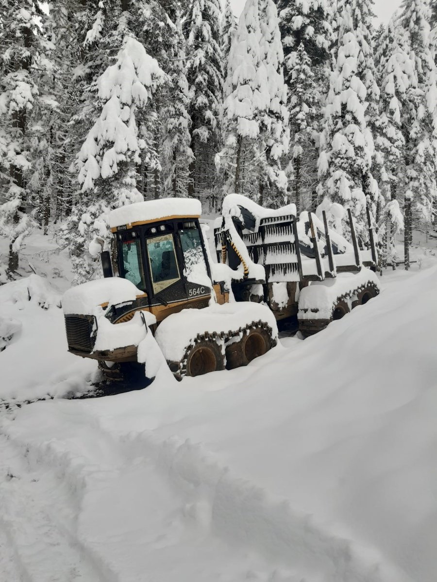 Forwarder von Winkler Holzbringung