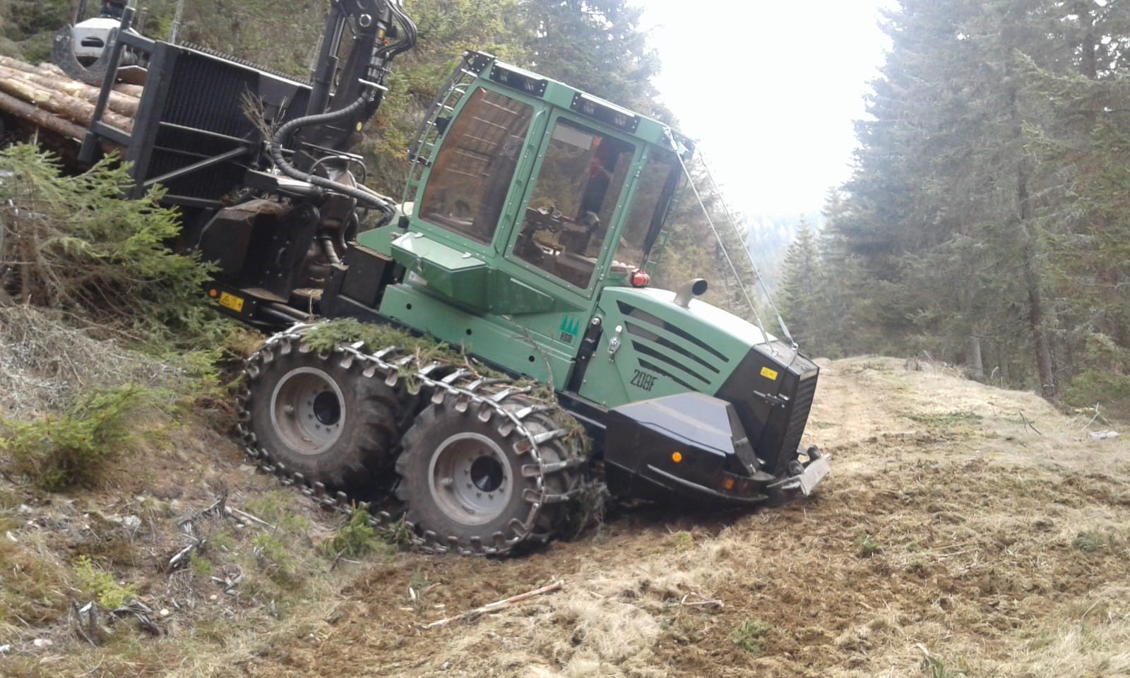 Holzschlägerung in steilem Gelände durch Winkler Holzbringung