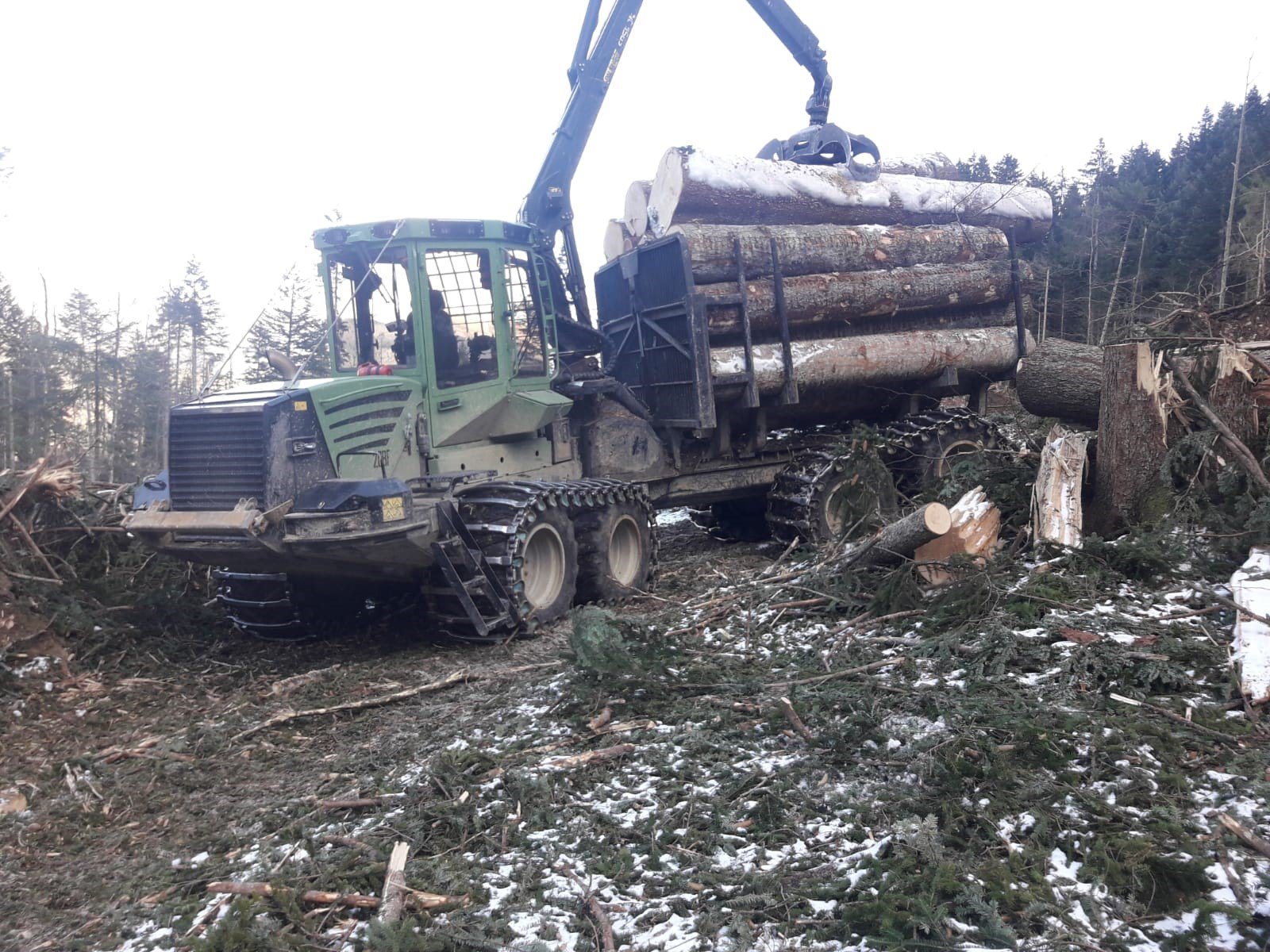 Holzschlägerung durch Winkler Holzbringung