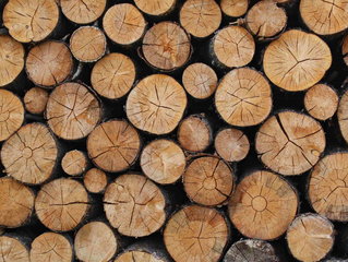 Holzrückung durch Winkler Holzbringung